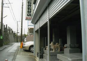 画像の説明