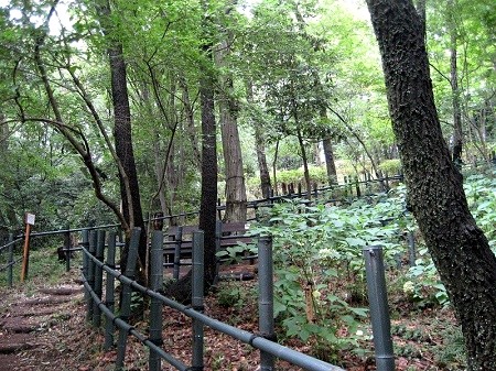 竹・樹木を活用した柵とベンチ