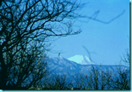 冠雪の富士山遠景