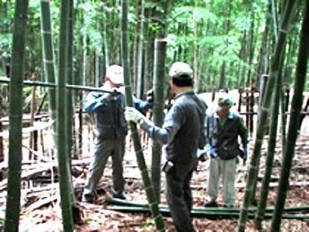 竹林の間伐と整備
